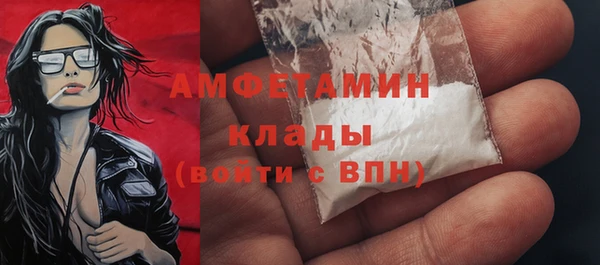 прущие грибы Вязники