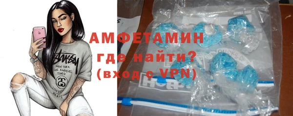 прущие грибы Вязники