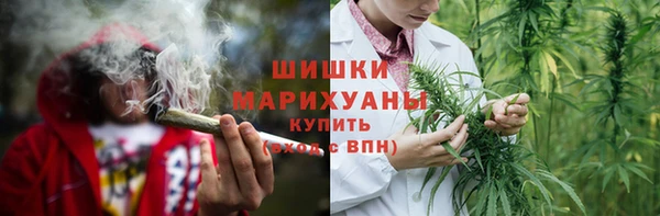 прущие грибы Вязники