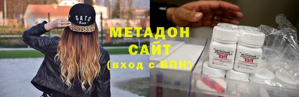 прущие грибы Вязники