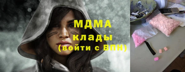 прущие грибы Вязники