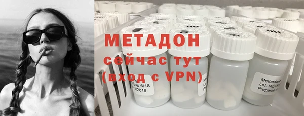 прущие грибы Вязники