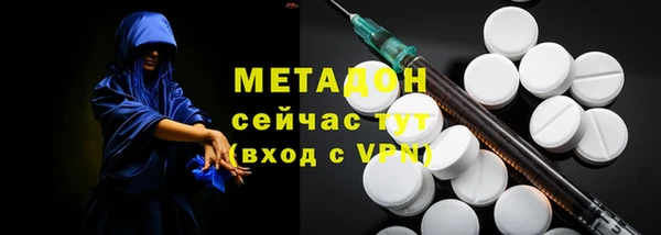 прущие грибы Вязники