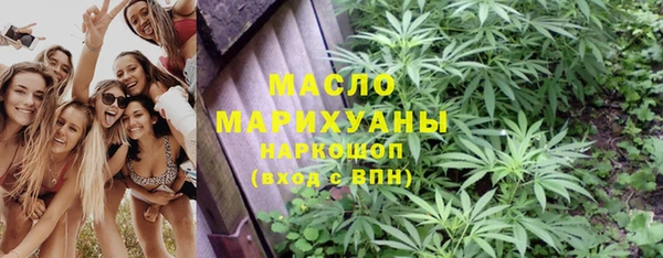 прущие грибы Вязники