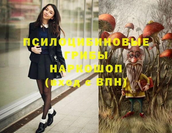 прущие грибы Вязники
