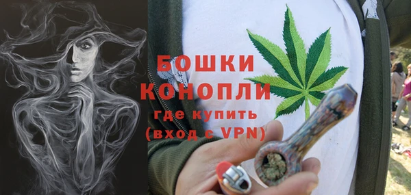 прущие грибы Вязники