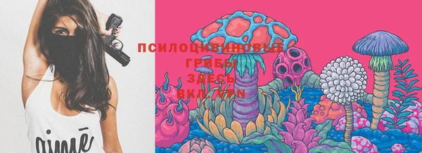 прущие грибы Вязники
