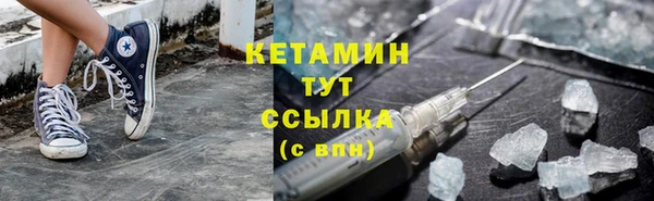 прущие грибы Вязники